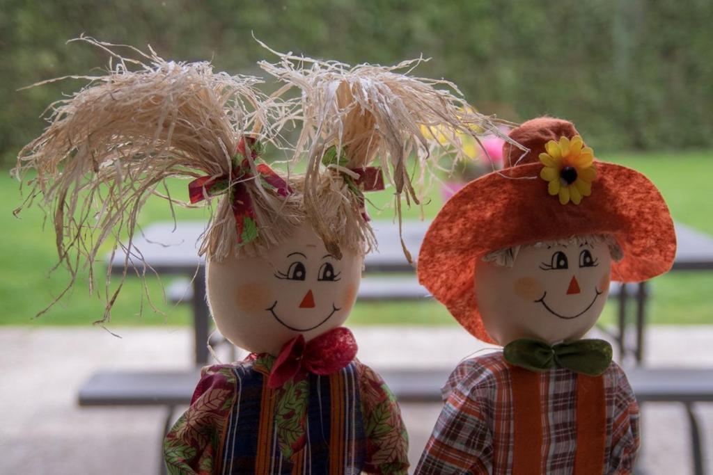 Groepsaccommodatie Kom In De Bedstee Sprookje Winterswijk Eksteriør billede